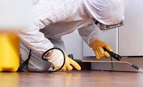 Professional Pest Control in Springdale, OH